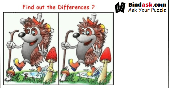 Can you find out the differences?