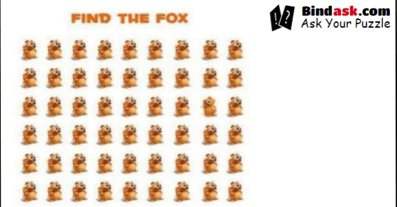 Can you find the fox?