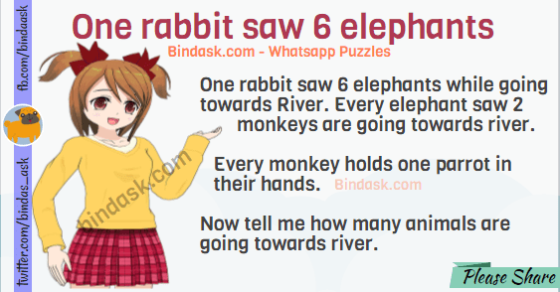 One rabbit saw 6 elephants puzzle