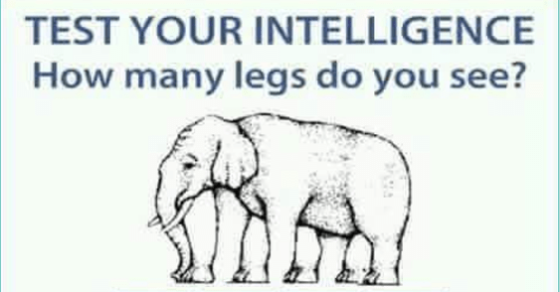 How Many Legs do you see?
