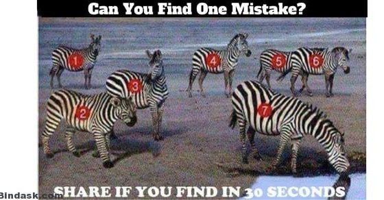 Can you find one mistake?