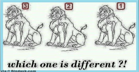 Which one is different?